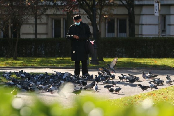 Възрастен мъж храни събралите се гълъби пред Народната библиотека в столицата. Снимка: БГНЕС