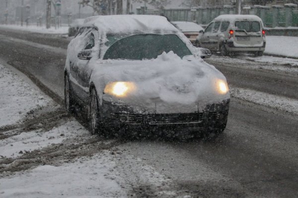 Снимка: Димитър Кьосемарлиев, Dnes.bg