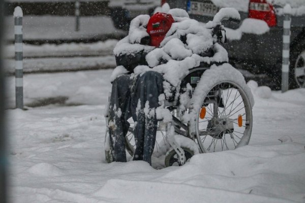 Снимка: Димитър Кьосемарлиев, Dnes.bg