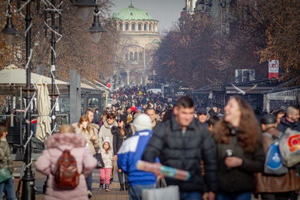 Снимка: Димитър Кьосемарлиев, Dnes.bg