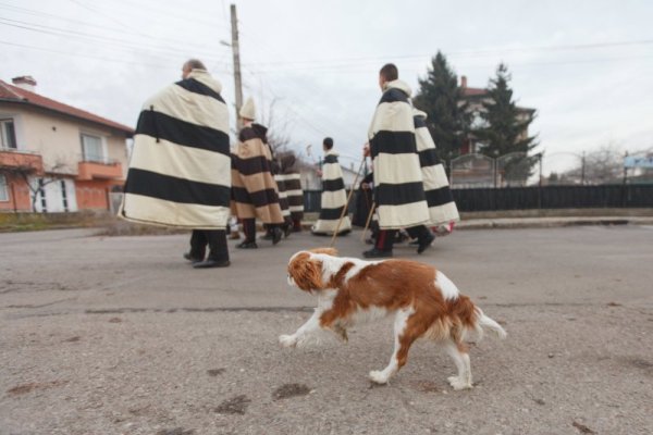 Снимка: Димитър Кьосемарлиев, Dnes.bg