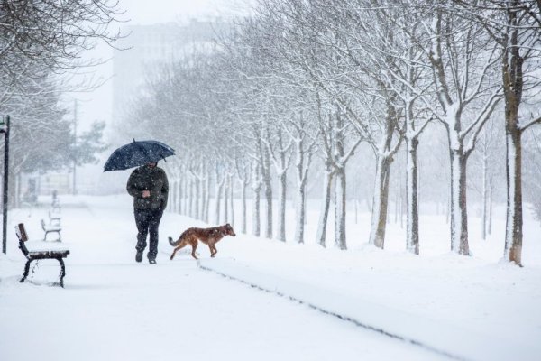 И докато у нас няма сняг, то сериозни количества паднаха в баския град Витория-Гастейс в Испания. Снимка: БГНЕС