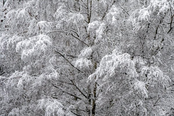 Още зимни картини от Полша. Снимка: БГНЕС