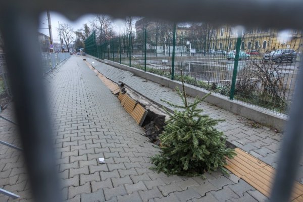 Снимка: Димитър Кьосемарлиев, Dnes.bg