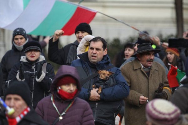 Снимка: Димитър Кьосемарлиев, Dnes.bg