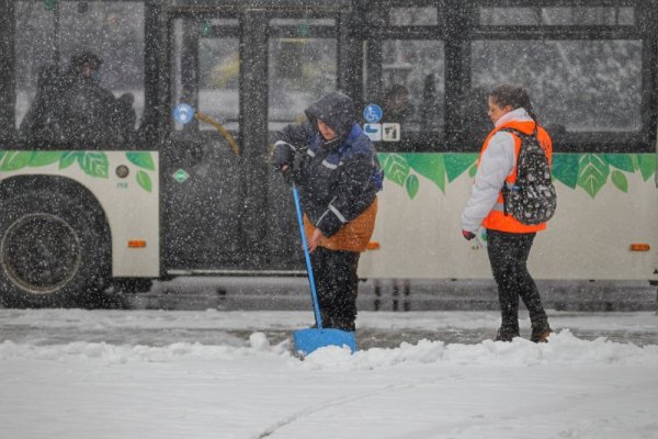 Снимка: Димитър Кьосемарлиев, Dnes.bg