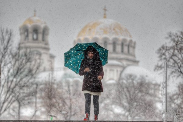 Снимка: Димитър Кьосемарлиев, Dnes.bg