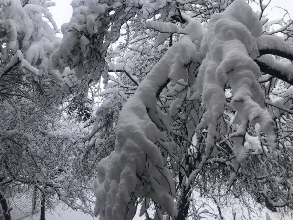 Още зимни картини от България. Снимка: БГНЕС