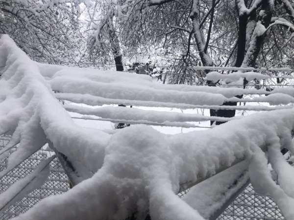 Въпреки че вече е пролет, снежната покривна у нас на много места в страната достигна такава дебелина, каквато нямаше и през зимата. Снимка: БГНЕС
&nbsp;