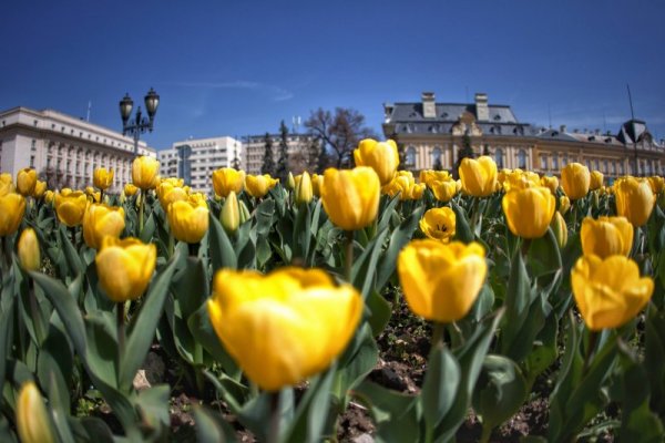 Снимка: Димитър Кьосемарлиев, Dnes.bg