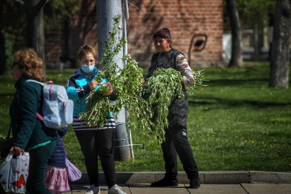 Снимка: Димитър Кьосемарлиев, Dnes.bg