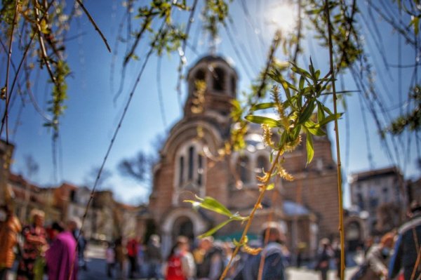 Снимка: Димитър Кьосемарлиев, Dnes.bg