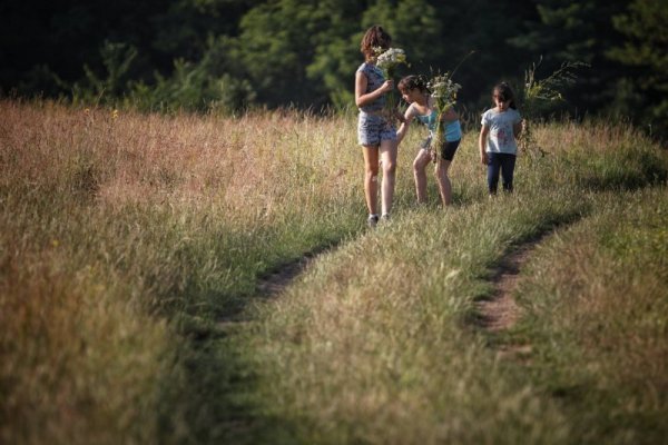 Снимка: Димитър Кьосемарлиев, Dnes.bg