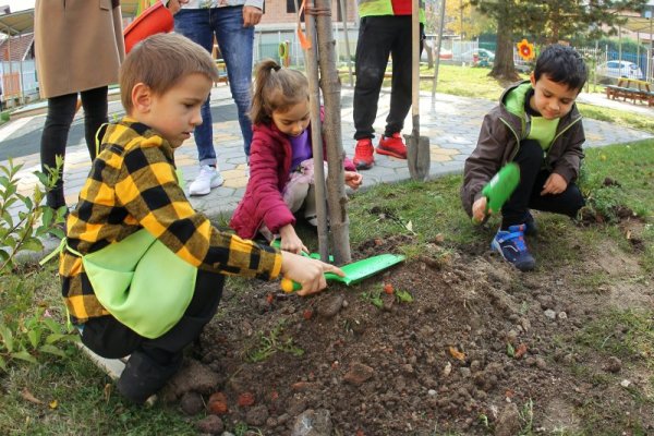 Снимка: Димитър Кьосемарлиев, Dnes.bg