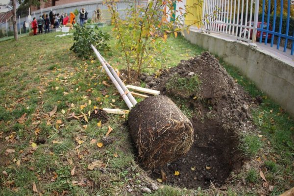 Снимка: Димитър Кьосемарлиев, Dnes.bg