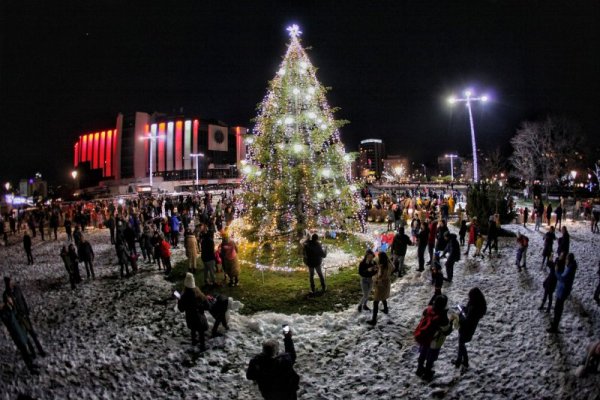 Снимка: Димитър Кьосемарлиев, Dnes.bg