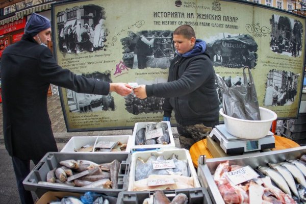 Снимка: Димитър Кьосемарлиев, Dnes.bg