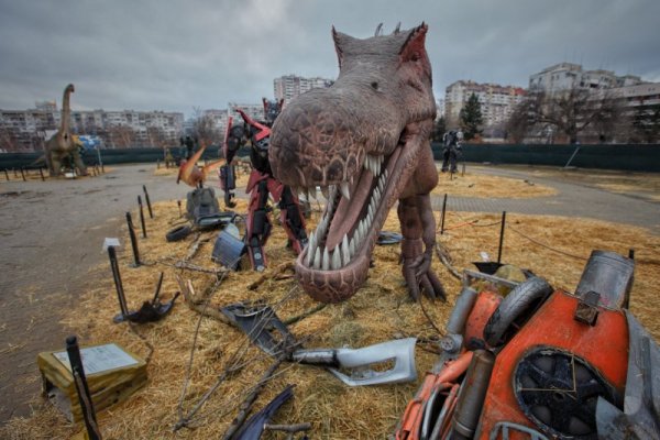 Снимка: Димитър Кьосемарлиев, Dnes.bg