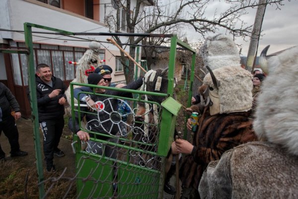 Снимка: Димитър Кьосемарлиев