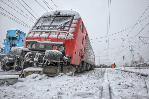 Снимка: Димитър Кьосемарлиев