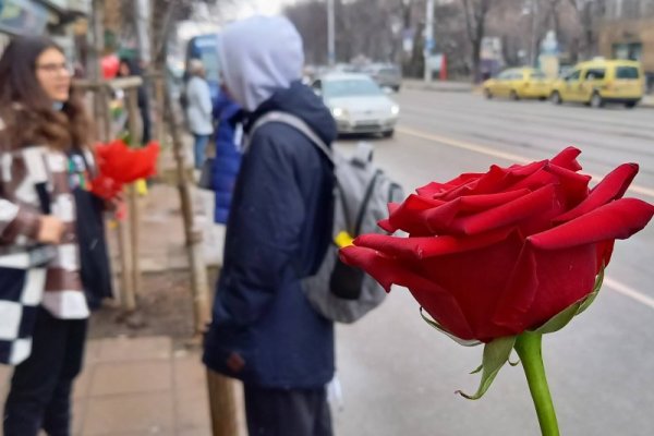 Красиви цветя превзеха улиците в София и големите градове у нас по повод 8 март. Снимка: Димитър Кьосемарлиев, Dnes.bg