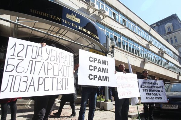 Лозарите излязоха на национален протест пред Министерството на земеделието. Според организаторите България е на опашката в ЕС по субсидиране на лозарството. Снимка: Димитър Кьосемарлиев, Dnes.bg