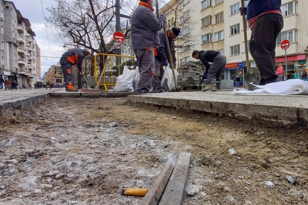 Снимка: Димитър Кьосемарлиев, Dnes.bg