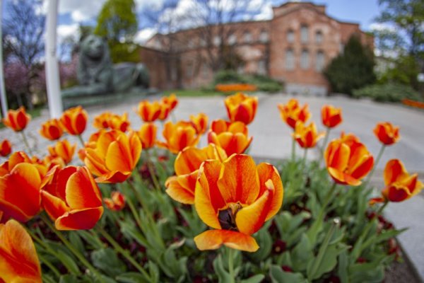 Снимка: Димитър Кьосемарлиев, Dnes.bg