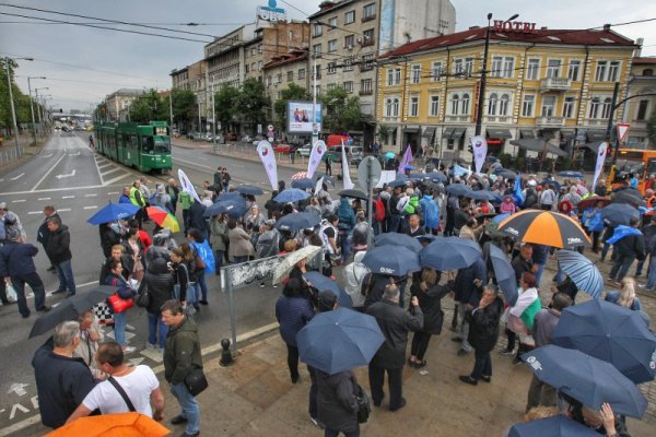 Снимка: Димитър Кьосемарлиев, Dnes.bg