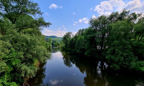 Пролетни красоти от България. Снимка: БГНЕС