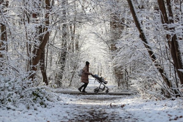 Снимка: Димитър Кьосемарлиев, Dnes.bg