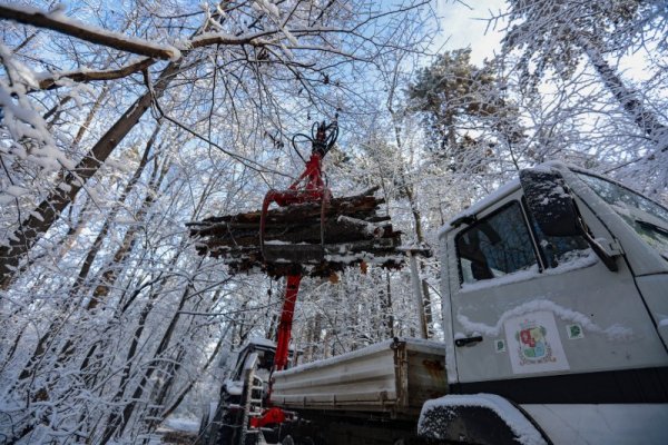 Снимка: Димитър Кьосемарлиев, Dnes.bg