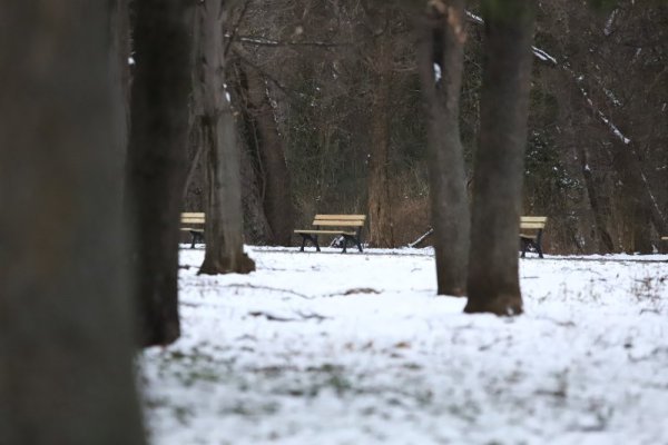 Зимна картина от столичен парк. Снимка: БГНЕС