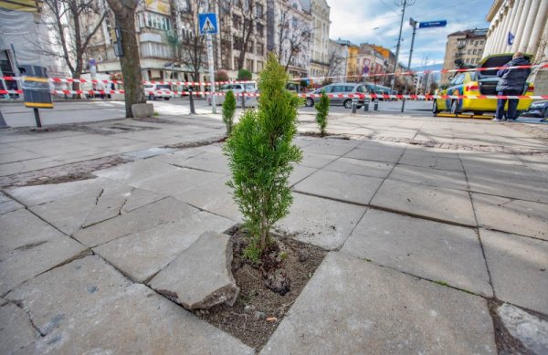 Снимка: Димитър Кьосемарлиев, Dnes.bg