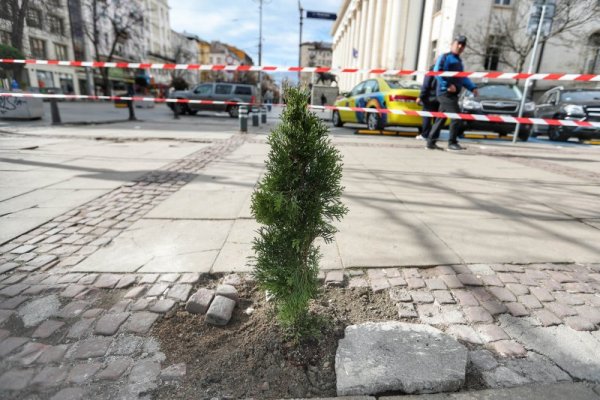 Снимка: Димитър Кьосемарлиев, Dnes.bg