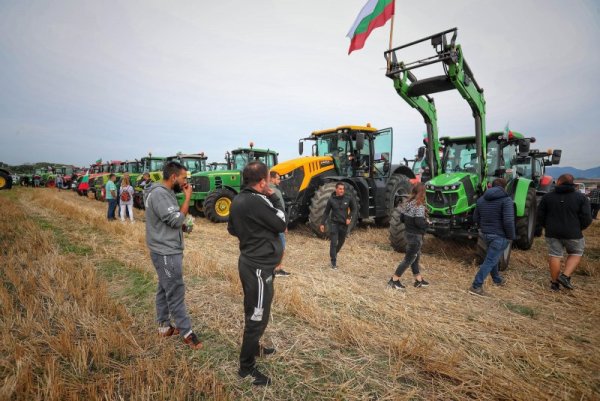 Снимка: Димитър Кьосемарлиев, Dnes.bg