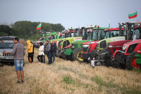 Снимка: Димитър Кьосемарлиев, Dnes.bg