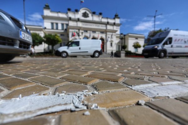 Снимка: Димитър Кьосемарлиев, Dnes.bg