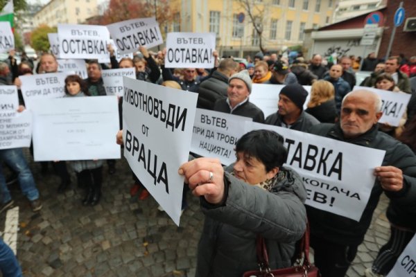 Снимка: Димитър Кьосемарлиев, Dnes.bg