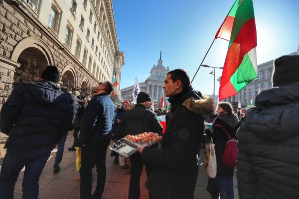 Снимка: Димитър Кьосемарлиев, Dnes.bg